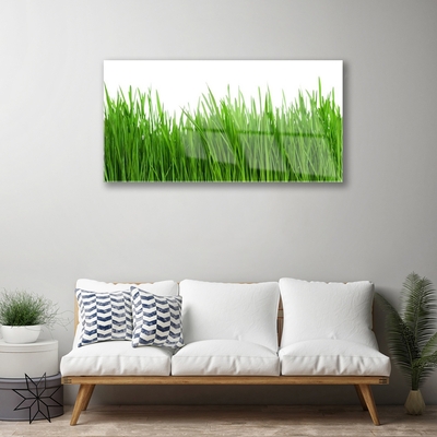 Glass Print Grass nature green