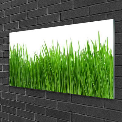 Glass Print Grass nature green