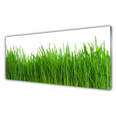 Glass Print Grass nature green