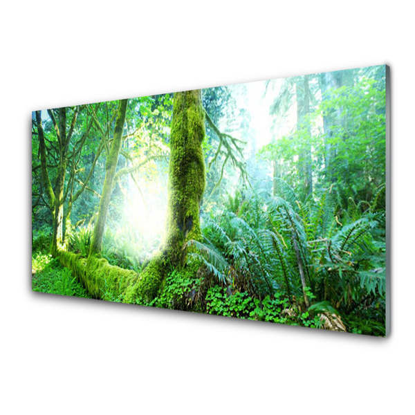 Glass Print Forest nature green