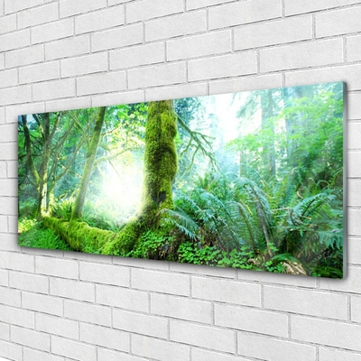 Glass Print Forest nature green