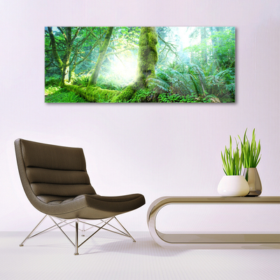 Glass Print Forest nature green