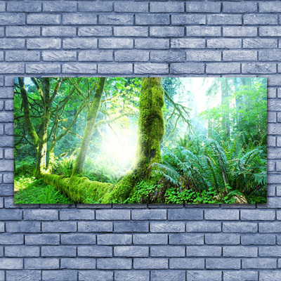 Glass Print Forest nature green