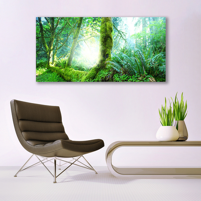 Glass Print Forest nature green