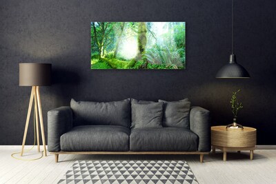 Glass Print Forest nature green