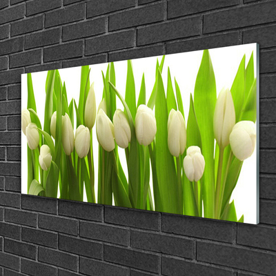 Glass Print Tulips floral white green