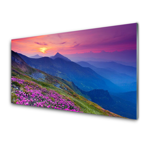 Glass Print Mountains meadow flowers landscape blue pink green yellow