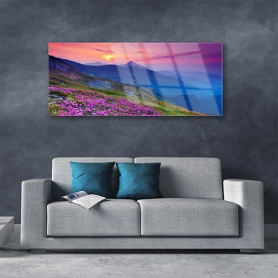 Glass Print Mountains meadow flowers landscape blue pink green yellow