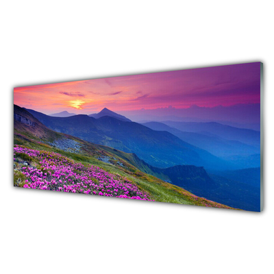 Glass Print Mountains meadow flowers landscape blue pink green yellow