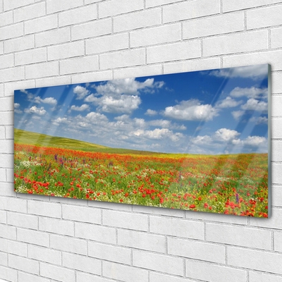 Glass Print Meadow flowers landscape red white green