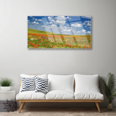 Glass Print Meadow flowers landscape red white green