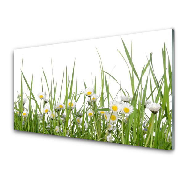 Glass Print Grass daisies nature green white yellow