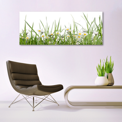 Glass Print Grass daisies nature green white yellow