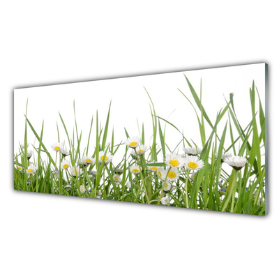 Glass Print Grass daisies nature green white yellow