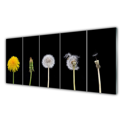 Glass Print Dandelion seed head floral yellow green white