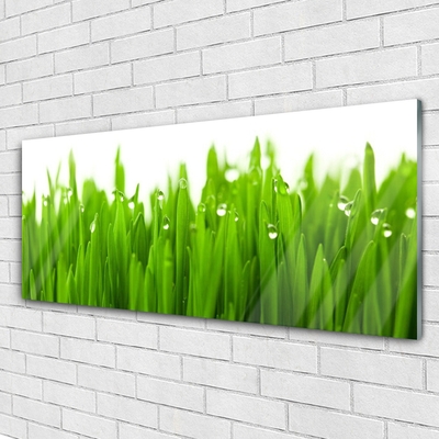 Glass Print Grass nature green