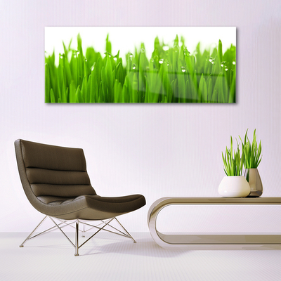 Glass Print Grass nature green