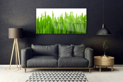 Glass Print Grass nature green