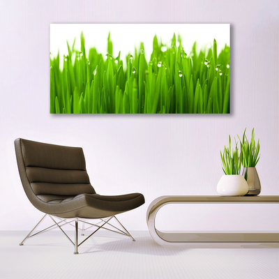 Glass Print Grass nature green