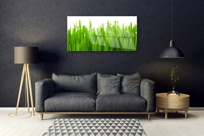 Glass Print Grass nature green