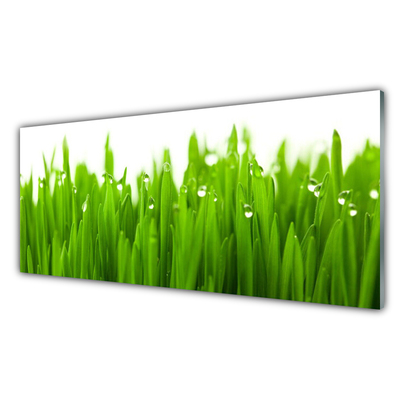 Glass Print Grass nature green