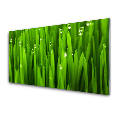 Glass Print Grass nature green