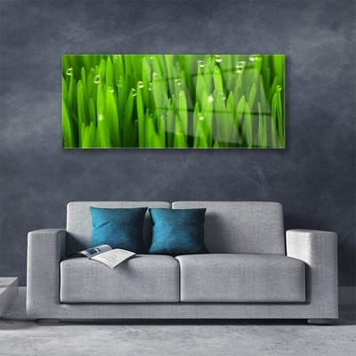 Glass Print Grass nature green