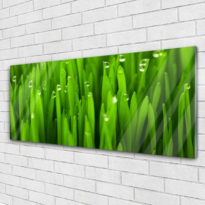 Glass Print Grass nature green