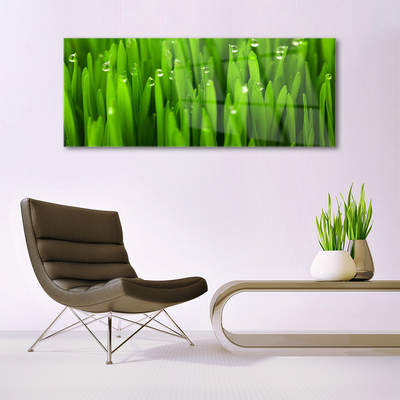 Glass Print Grass nature green