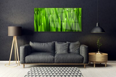 Glass Print Grass nature green