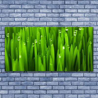 Glass Print Grass nature green