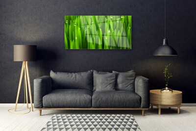 Glass Print Grass nature green