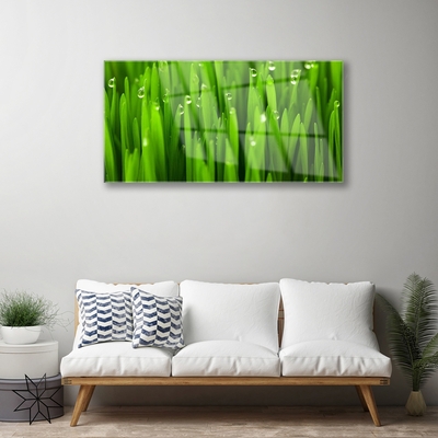 Glass Print Grass nature green