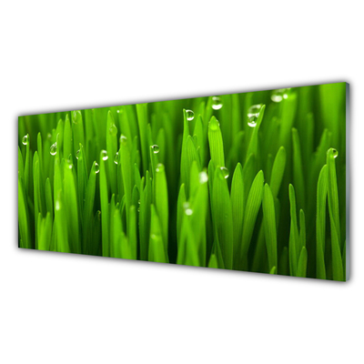 Glass Print Grass nature green