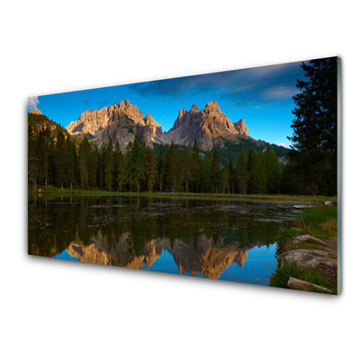 Glass Print Forest lake landscape green blue