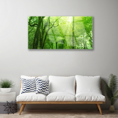 Glass Print Trees nature brown green