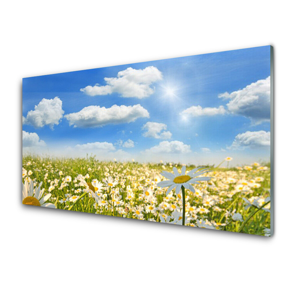 Glass Print Meadow daisies nature green blue white