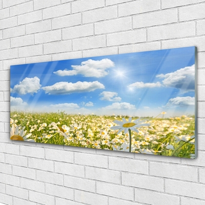 Glass Print Meadow daisies nature green blue white