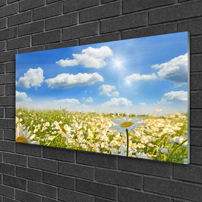 Glass Print Meadow daisies nature green blue white