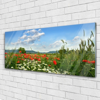Glass Wall Art Meadow flowers nature green red white