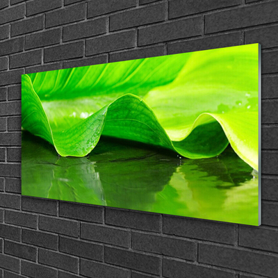 Glass Wall Art Leaf floral green