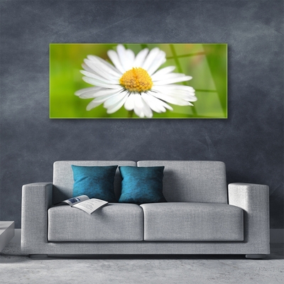 Glass Wall Art Daisy floral yellow white