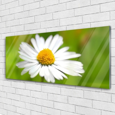 Glass Wall Art Daisy floral yellow white