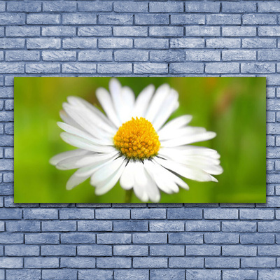 Glass Wall Art Daisy floral yellow white