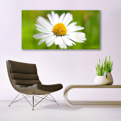 Glass Wall Art Daisy floral yellow white