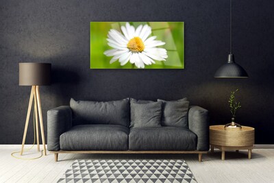 Glass Wall Art Daisy floral yellow white