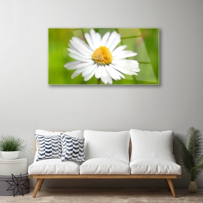 Glass Wall Art Daisy floral yellow white