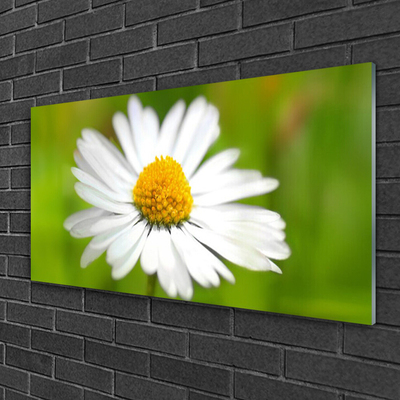 Glass Wall Art Daisy floral yellow white