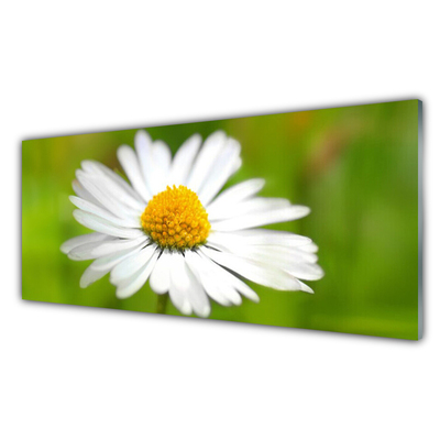 Glass Wall Art Daisy floral yellow white