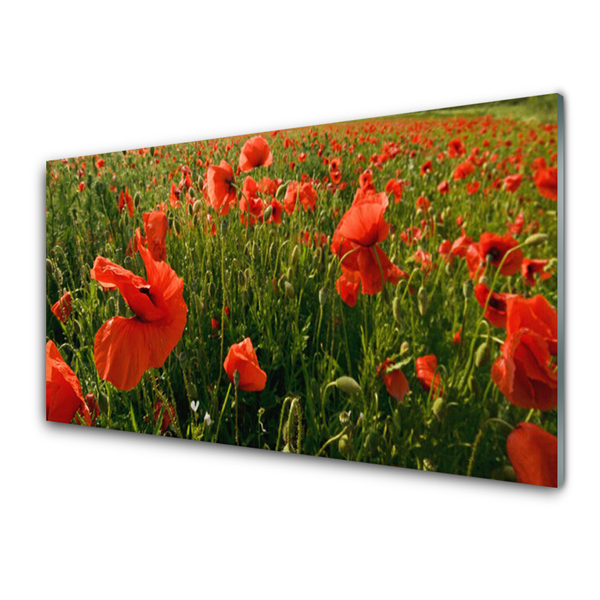 Glass Wall Art Poppies nature red green